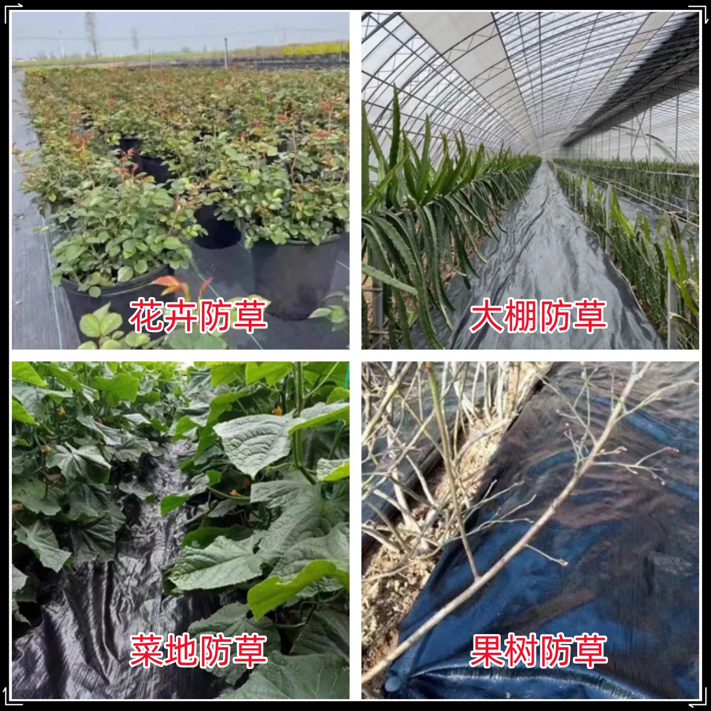 武威市工程膜防草布 - 推荐