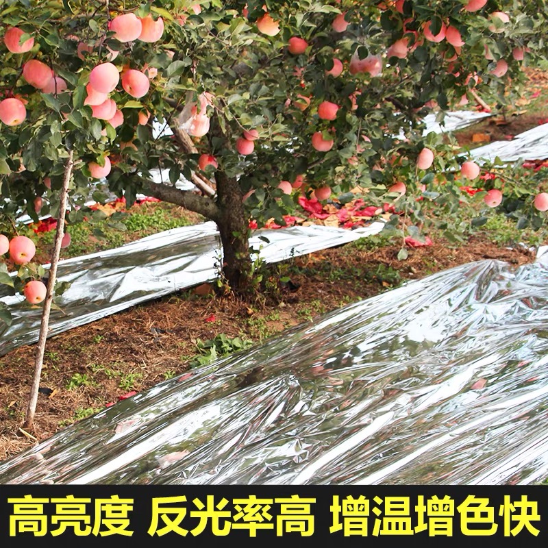 武威市po膜果树反光膜 - 方案